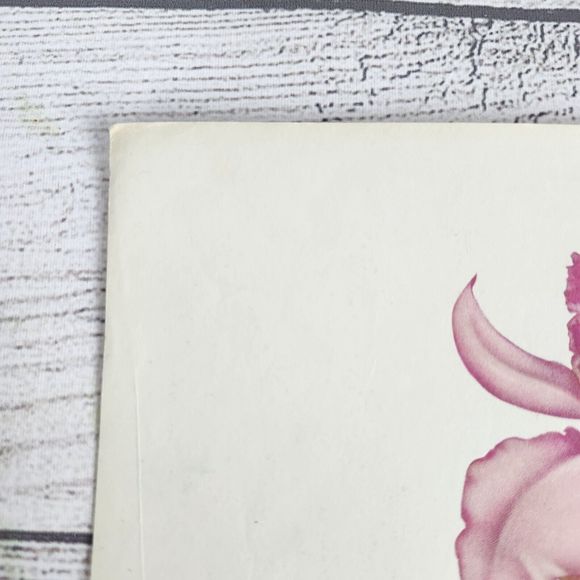 Vtg 1940s George Petty Ziegfeld Follies Pinup Girl Art Print 8.5x11 Flower - Picture 6 of 9